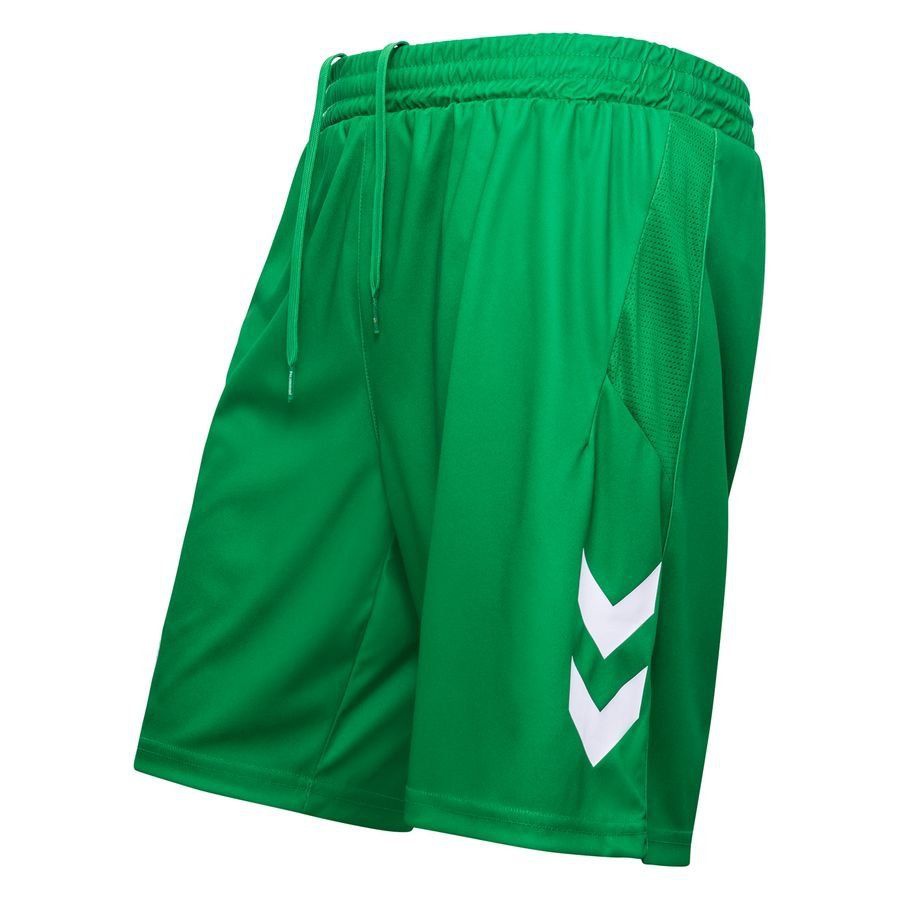 [LK] Denmark Shorts Goalkeeper Uniform 2023/24