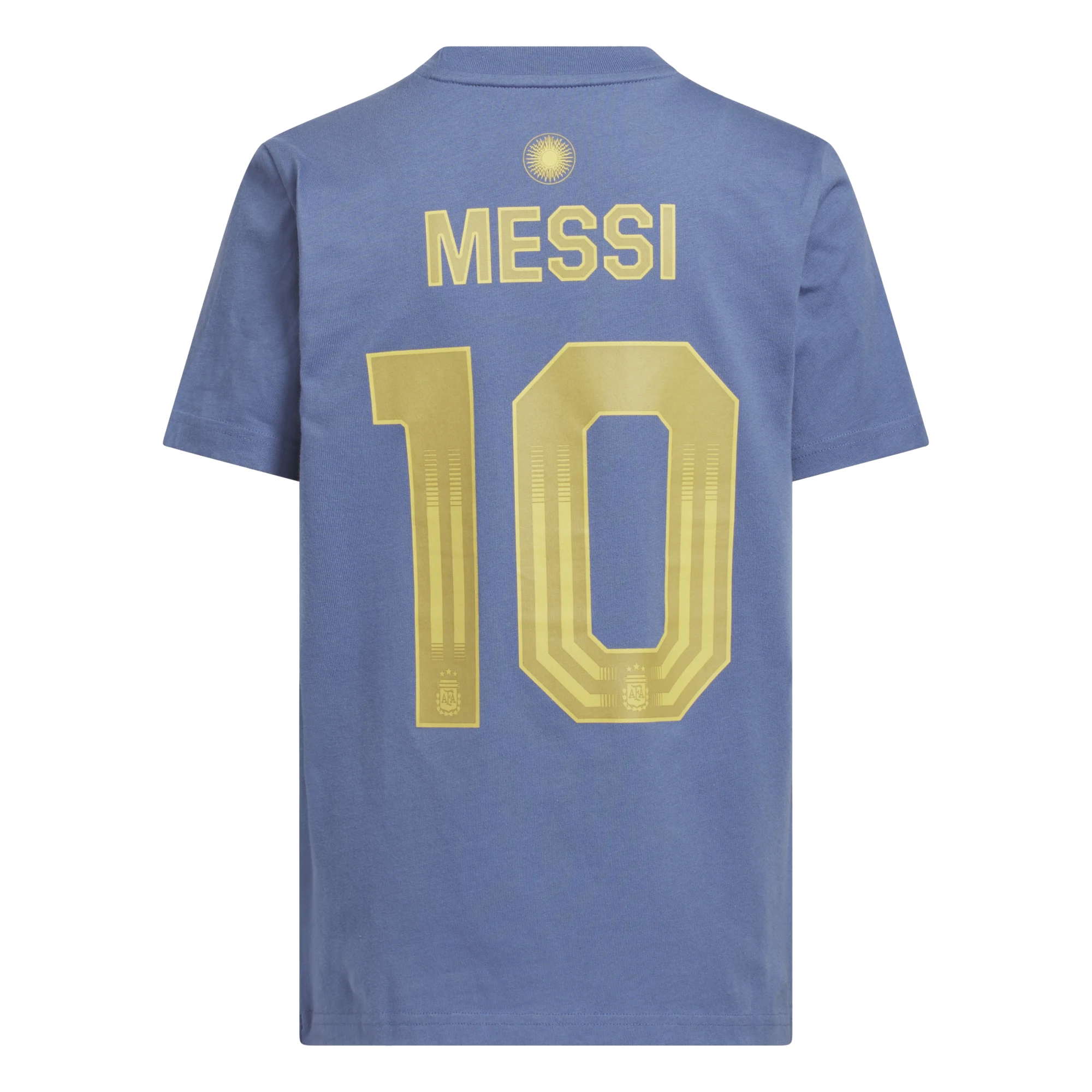 Argentina National Team 2024-2025 Season Third Shirt –  Edition XS