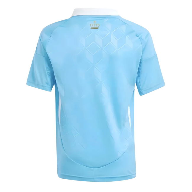 Authentic 2024-2025 Belgium Away Replica Professional National