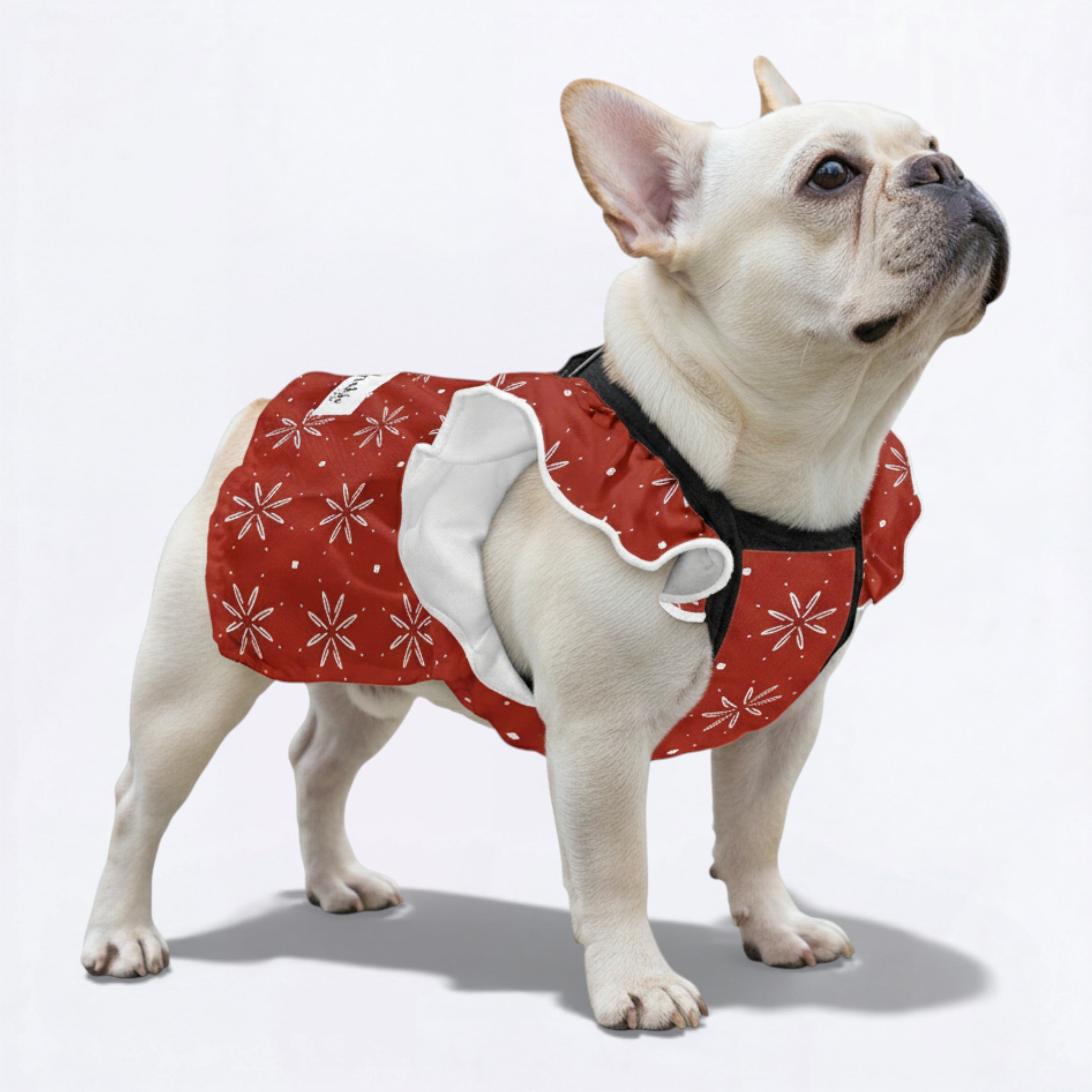 Nala - French Bulldog Dresses for Females