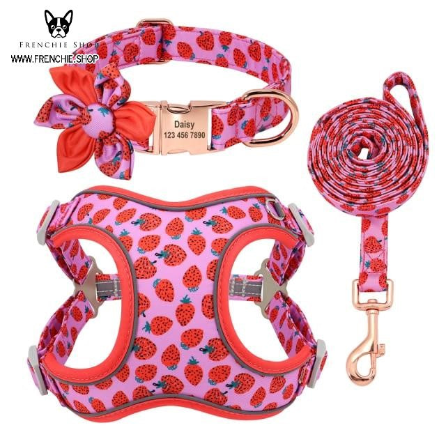 Fruit - Premium Harness For French Bulldog (w321) Paw Protection