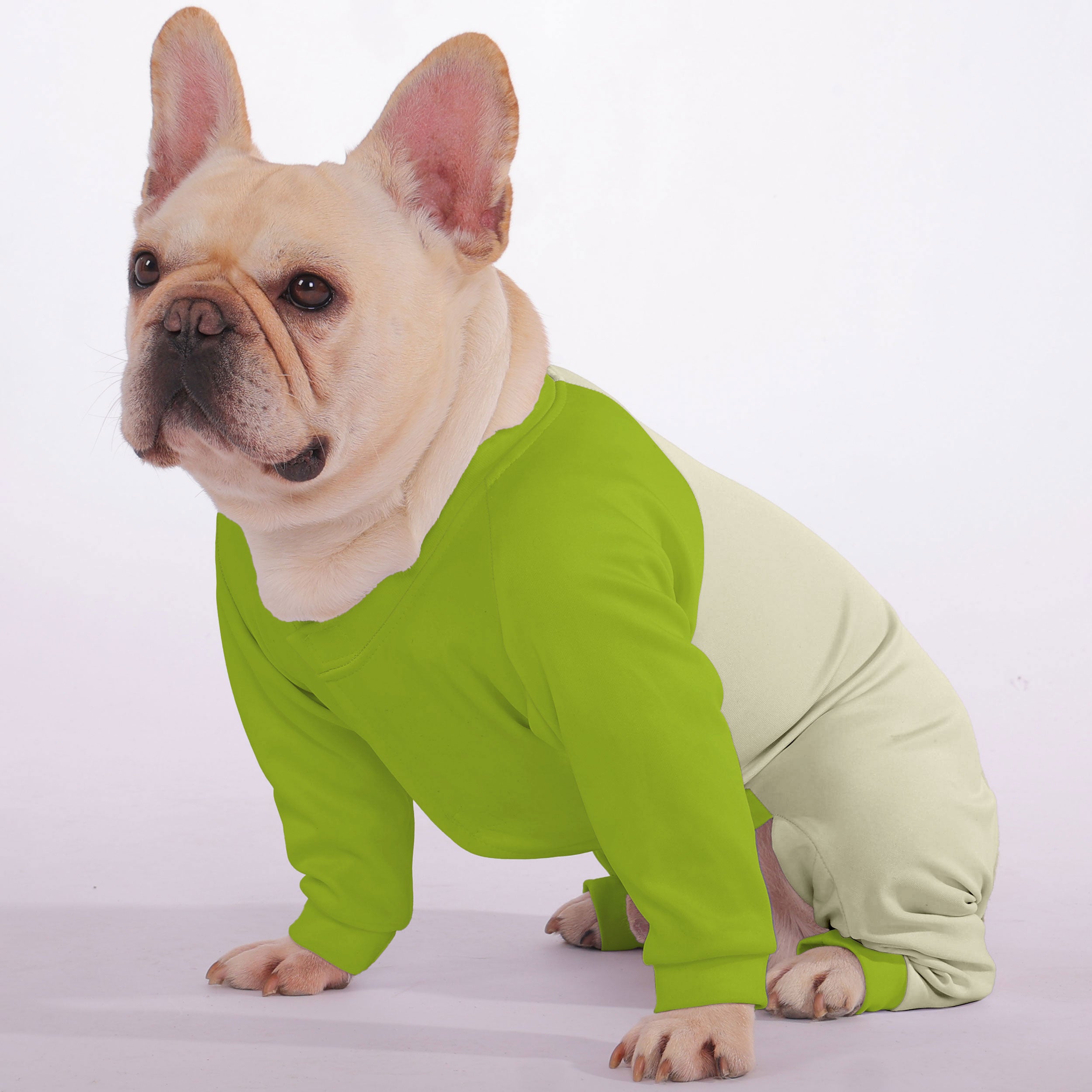 French Bulldog Gaston Frenchie Pajamas Frenchie Pet Item