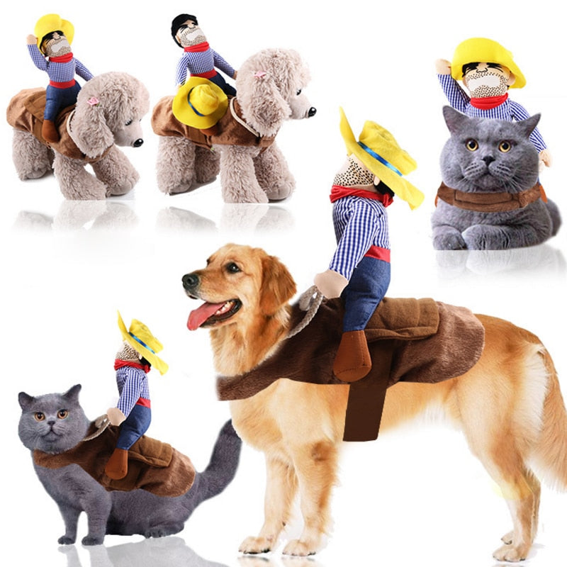 Cowboy - Warm Costume For French Bulldog (ws222) Indoor Use