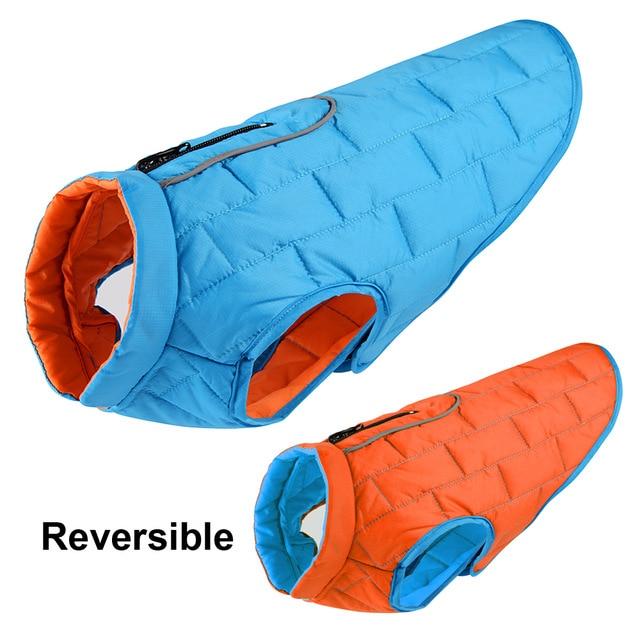 Jacket For French Bulldog Paw Protection | Vet-recommended