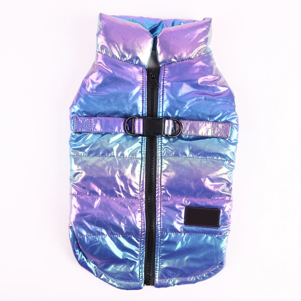 Bulldog Shield Frenchie Reflective Winter Warm Jacket V1 Paw Protection