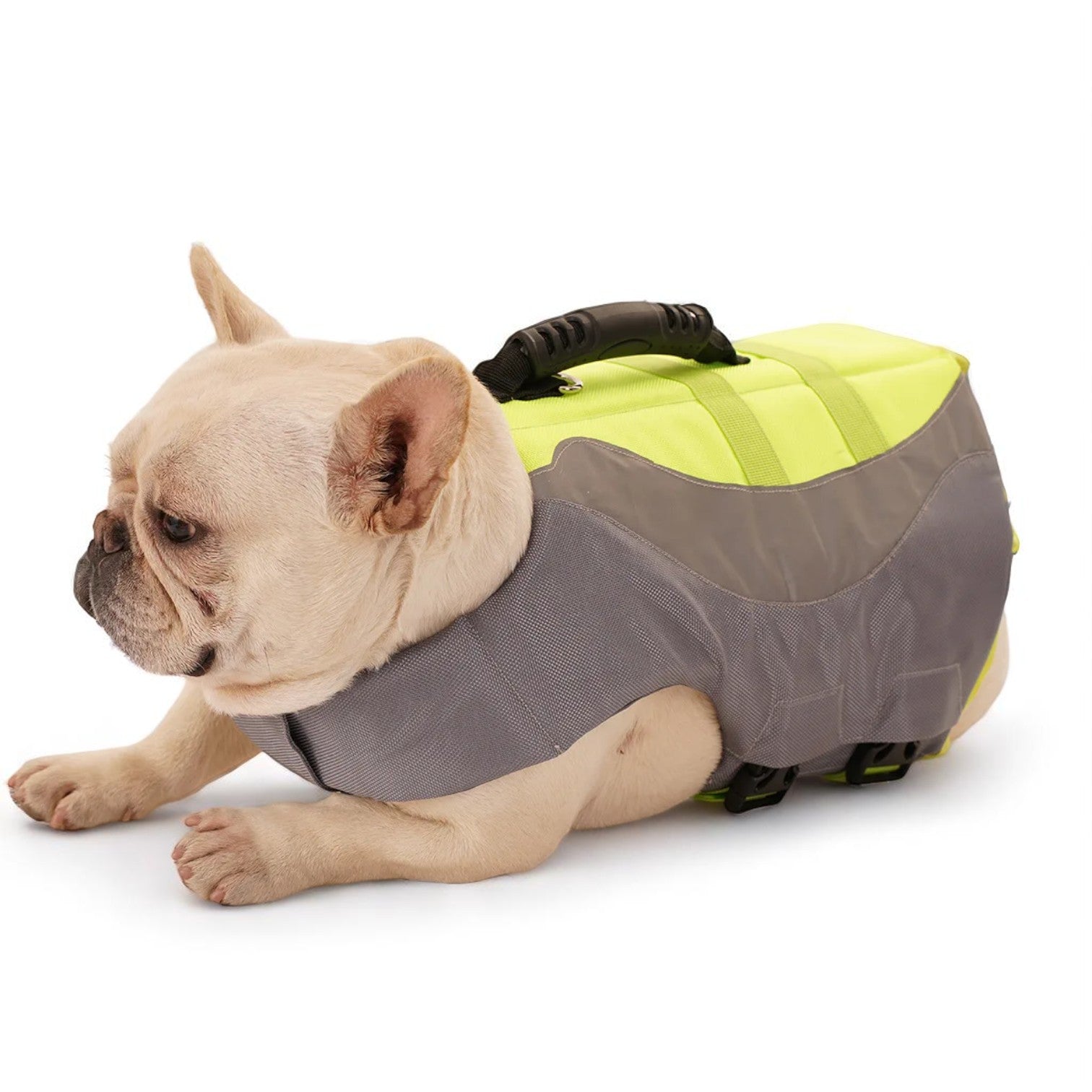 Fashion-Forward Frenchie Reflective Swim Vest – Safety Adjustable Lif...