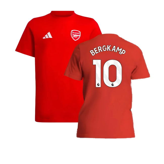 Arsenal Home Football Jersey 2024-20 Bergkamp 10 L M S Kids