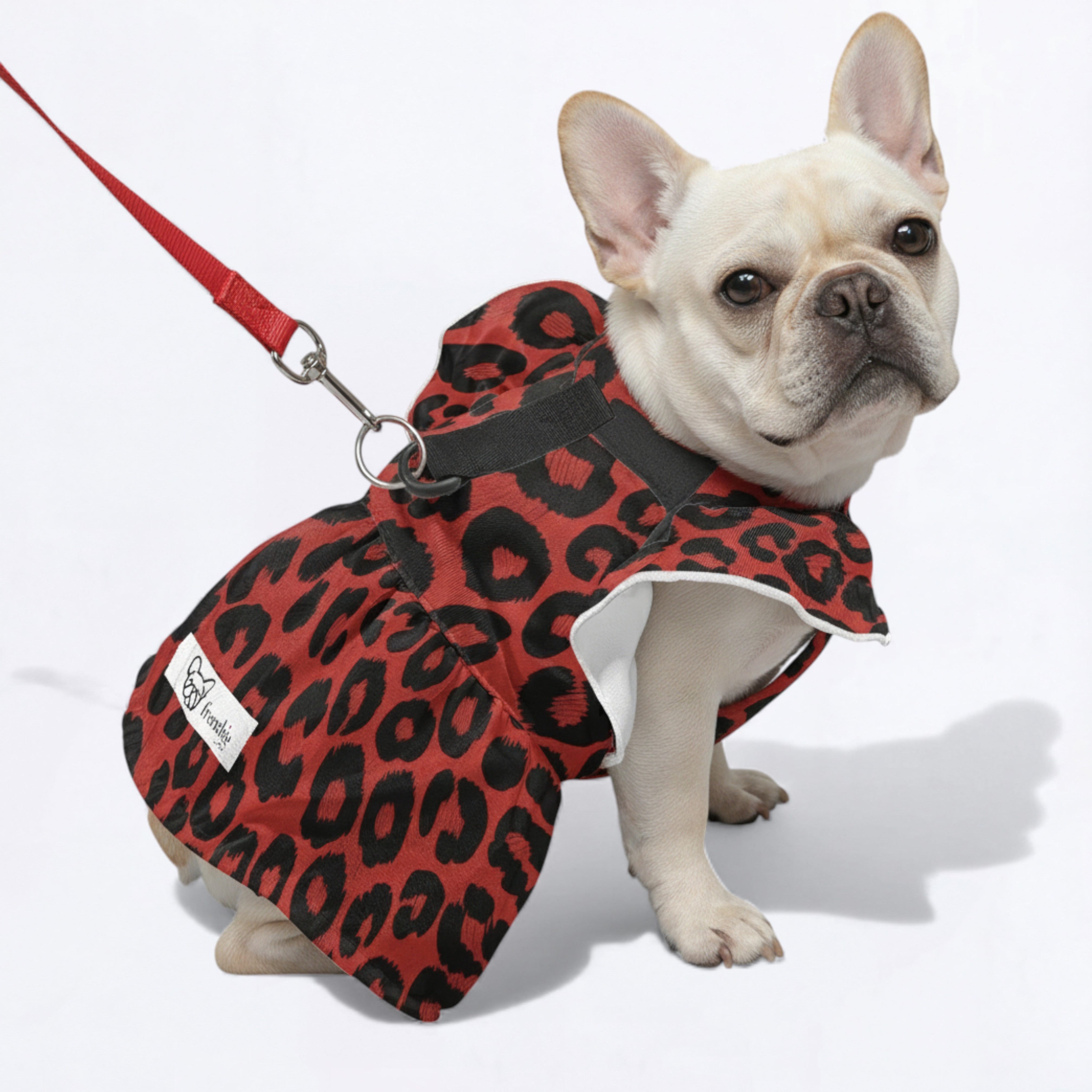 Culture-Inspired Zoya - Adorable Dress For Frenchie Girls for Pet