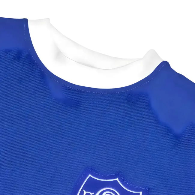 Top Quality Heritage Jersey The South #1969 Current Season Retro (v10)