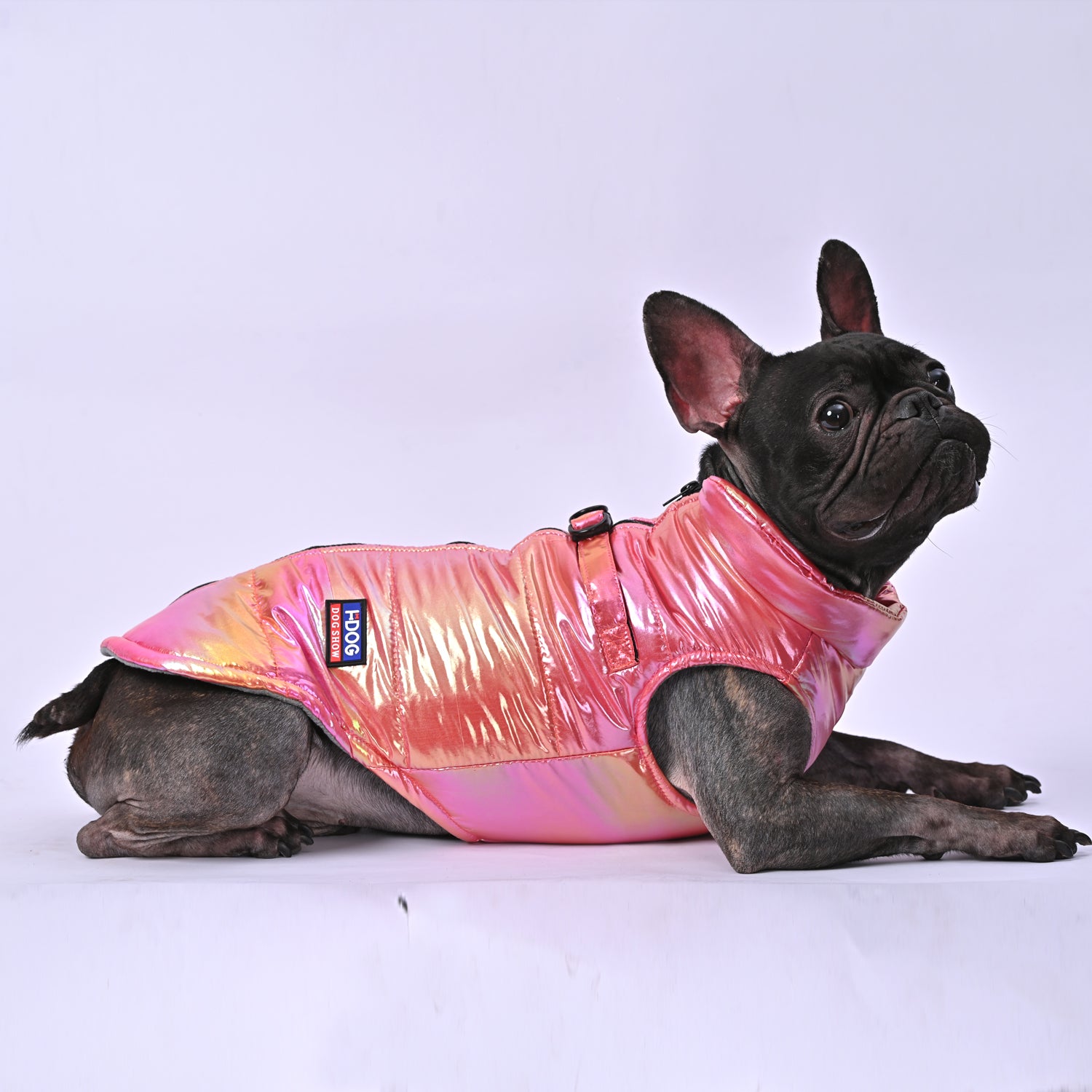 Snow Shield Frenchie Reflective Winter Warm Jacket V2
