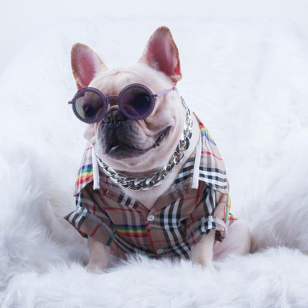 Stylish Glambull Frenchie Gold Necklace – Stylish Plastic Jewelry Cha...