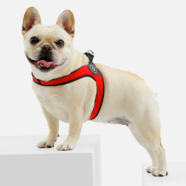 Easy-Walk™ - No Pull French Bulldog Harness (WS601)