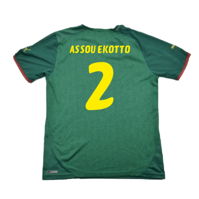 Indomitable Lions 2010-11 Home Jersey ((excellent) L) (assou Ekotto 2)