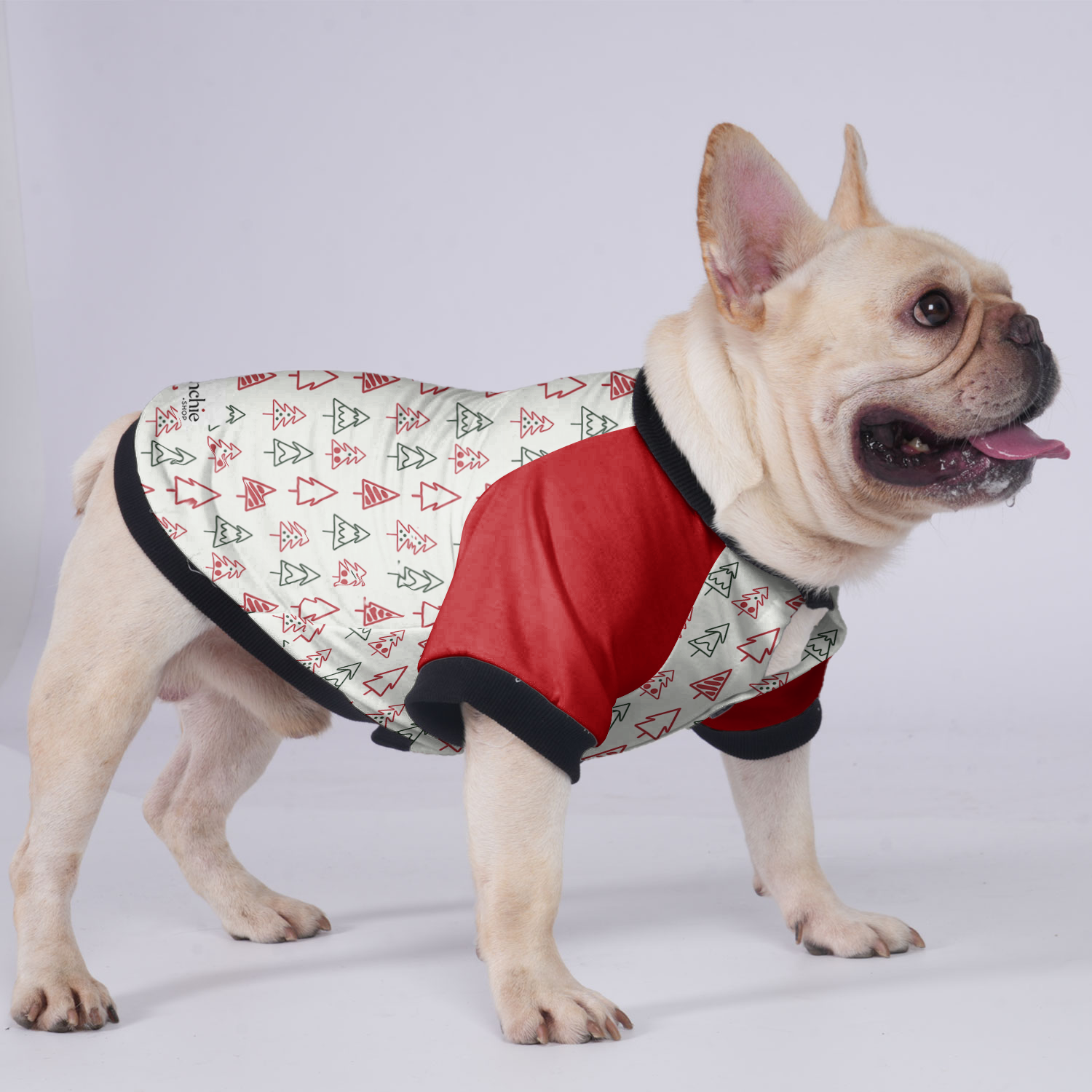 Jacket For French Bulldog For Frenchie Pups | Durable Build