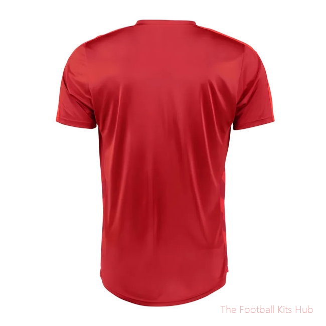 Czech Republic 2016-17 Home Shirt (L) (Very Good) (Suchy 17)