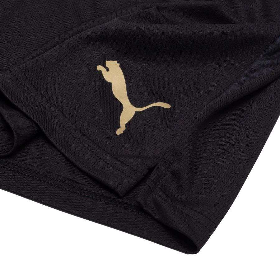 Galatasaray Training Shorts - PUMA Black - Supporter Apparel