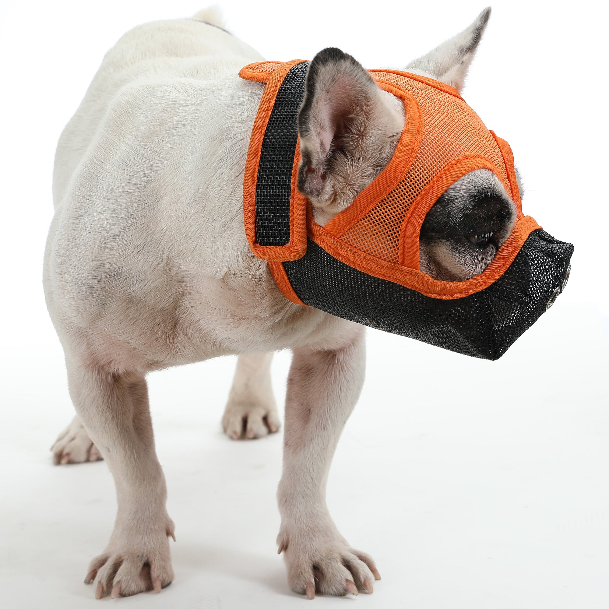 French Bulldog Premium Adjustable Frenchie Muzzle Mouth Cover For