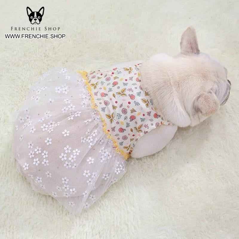 Frenchie-Fan Fruit Skirt Frenchie Summer Dress (w319) for Casual Outings