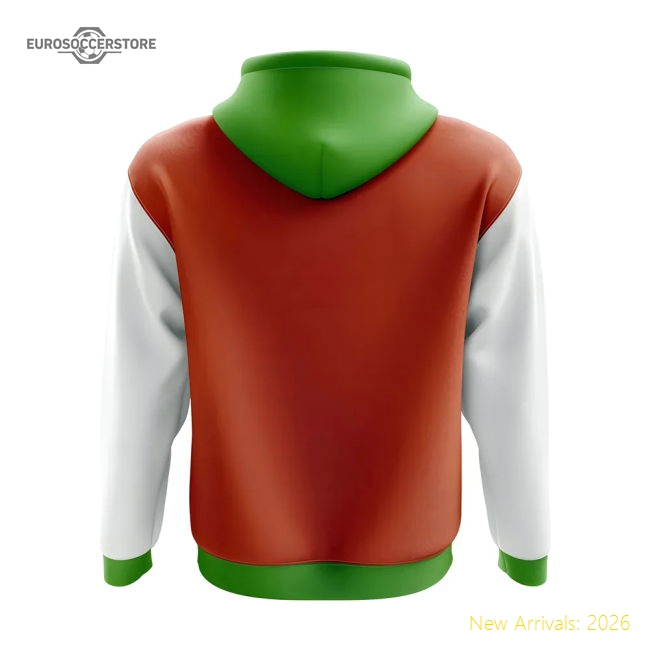 Elite Niger Concept Country Football Hoody (orange) - Match Quality