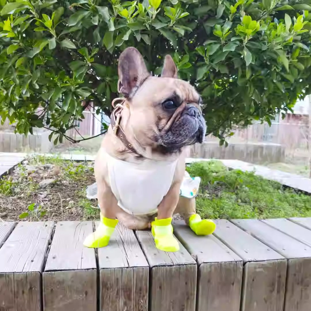 For Frenchies – Non-slip And Protective Summer Wear | Durable Build