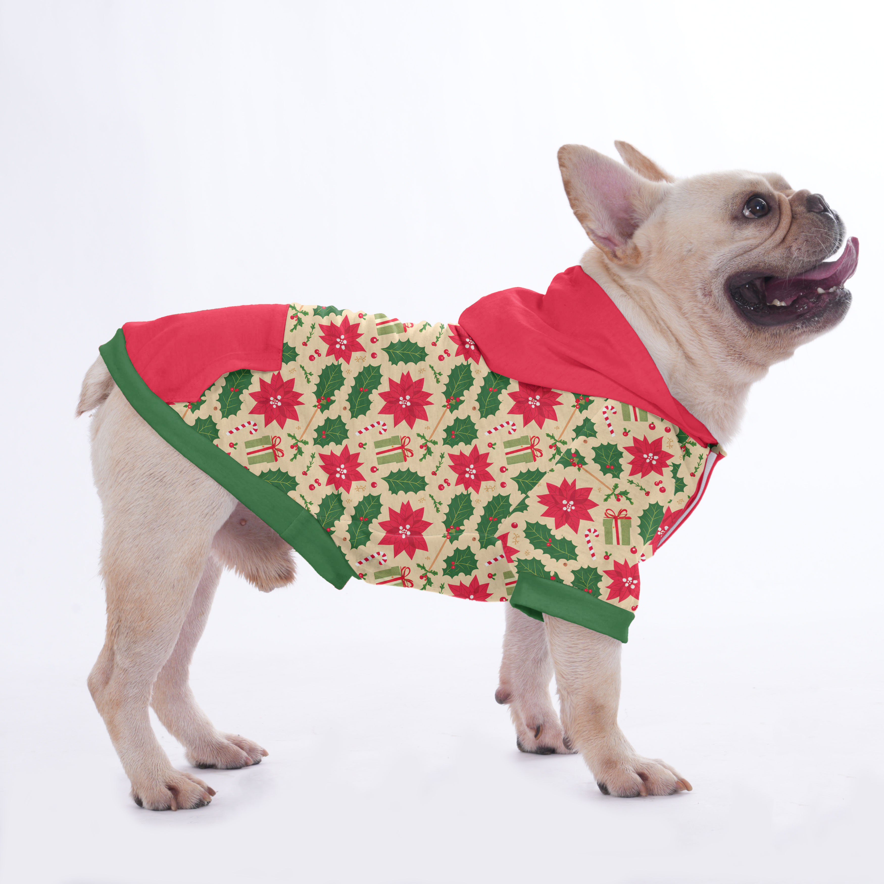 Suzzie - Bulldog Inspired Hoodies For French Bulldog | Frenchie Shop Original Pet Owner Apparel