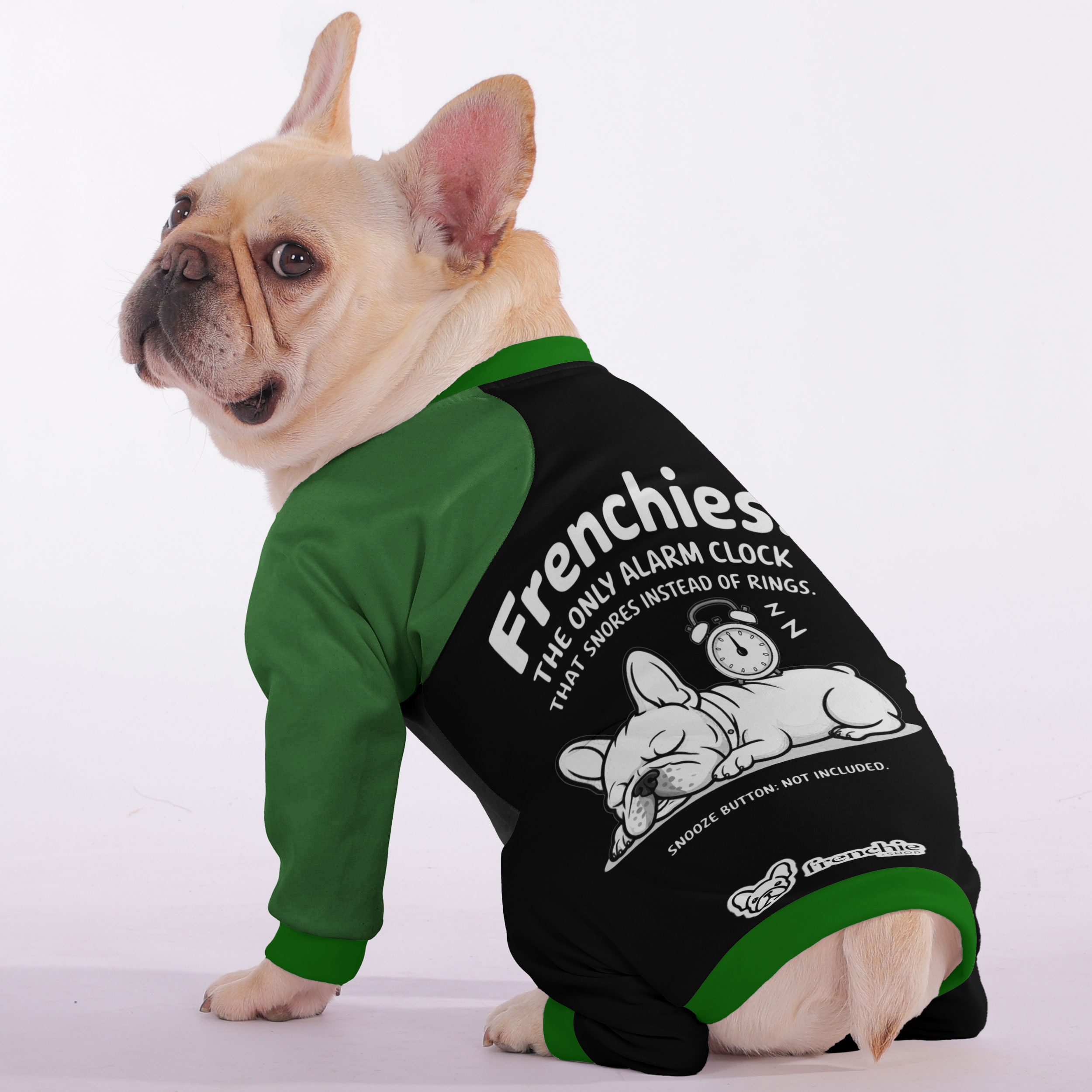 French Bulldog Frenchies: The Only Alarm Clock That Snores Instead Of