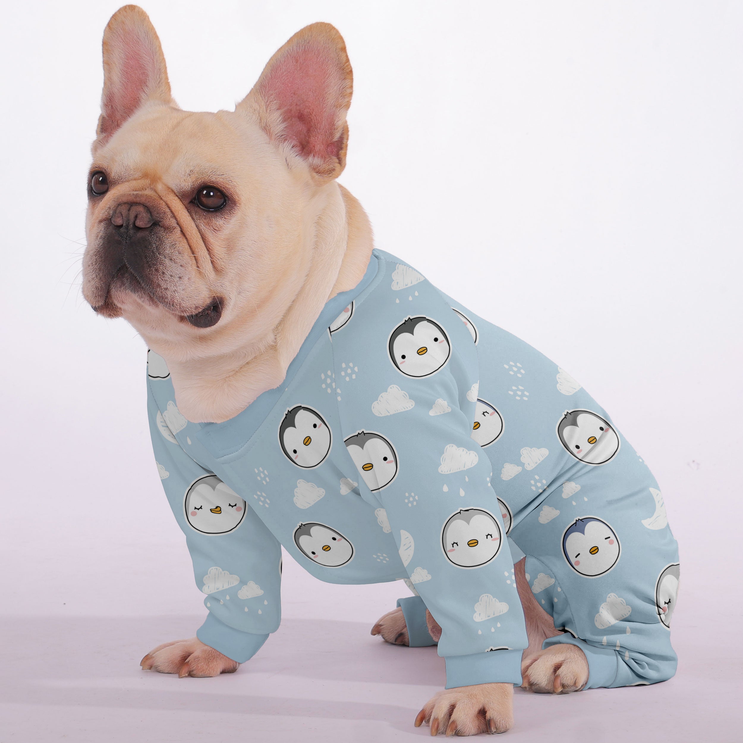 French Bulldog Warm Loy - Warm Frenchie Pajama Paw Protection