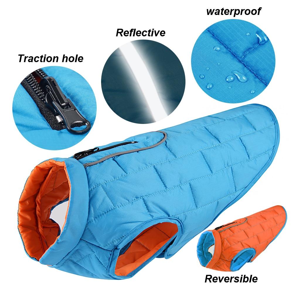 Premium Frenchie-Fan Reversible Jacket For French Bulldog for Daily Life