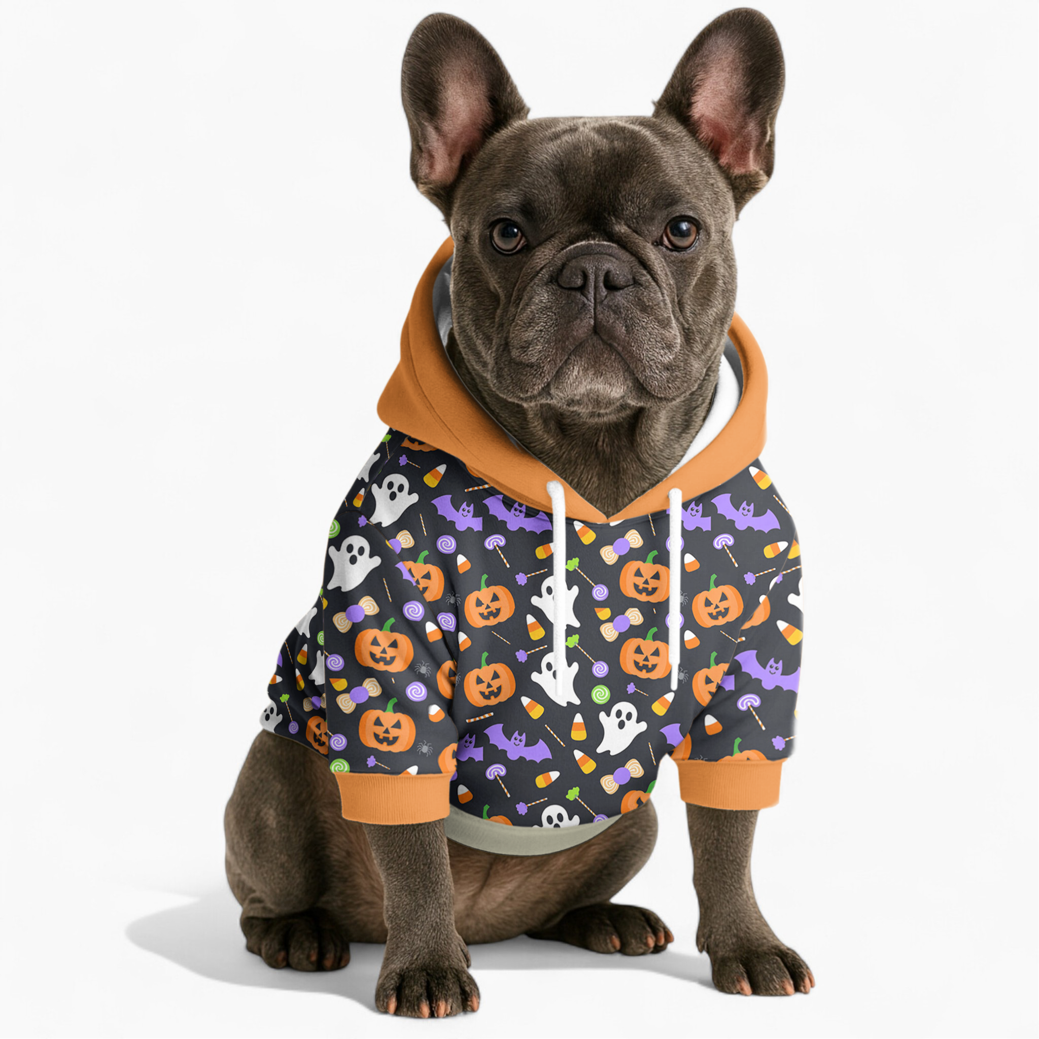 Pet-Lover Lifestyle-Driven Lily - Frenchie Hoodie for Daily Life