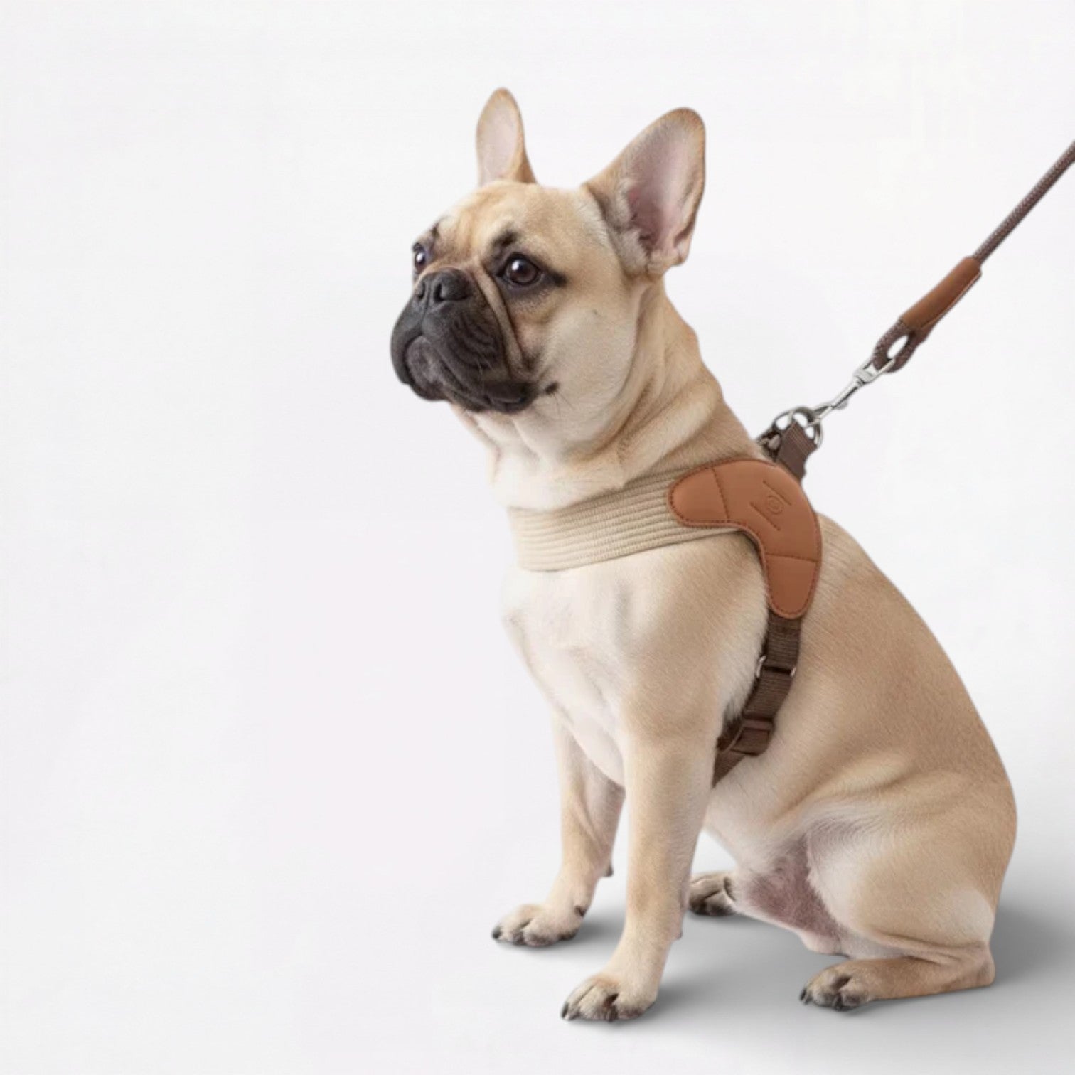 Indoor-Play Pawgent Frenchie Harness Leash Set – Lightweight No-pull ...