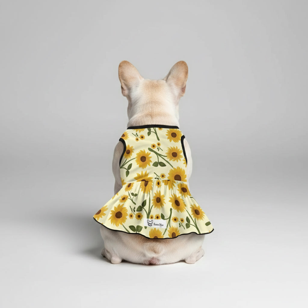 French Bulldog Aurora French Bulldog Dresses For Females Durable Dog Item