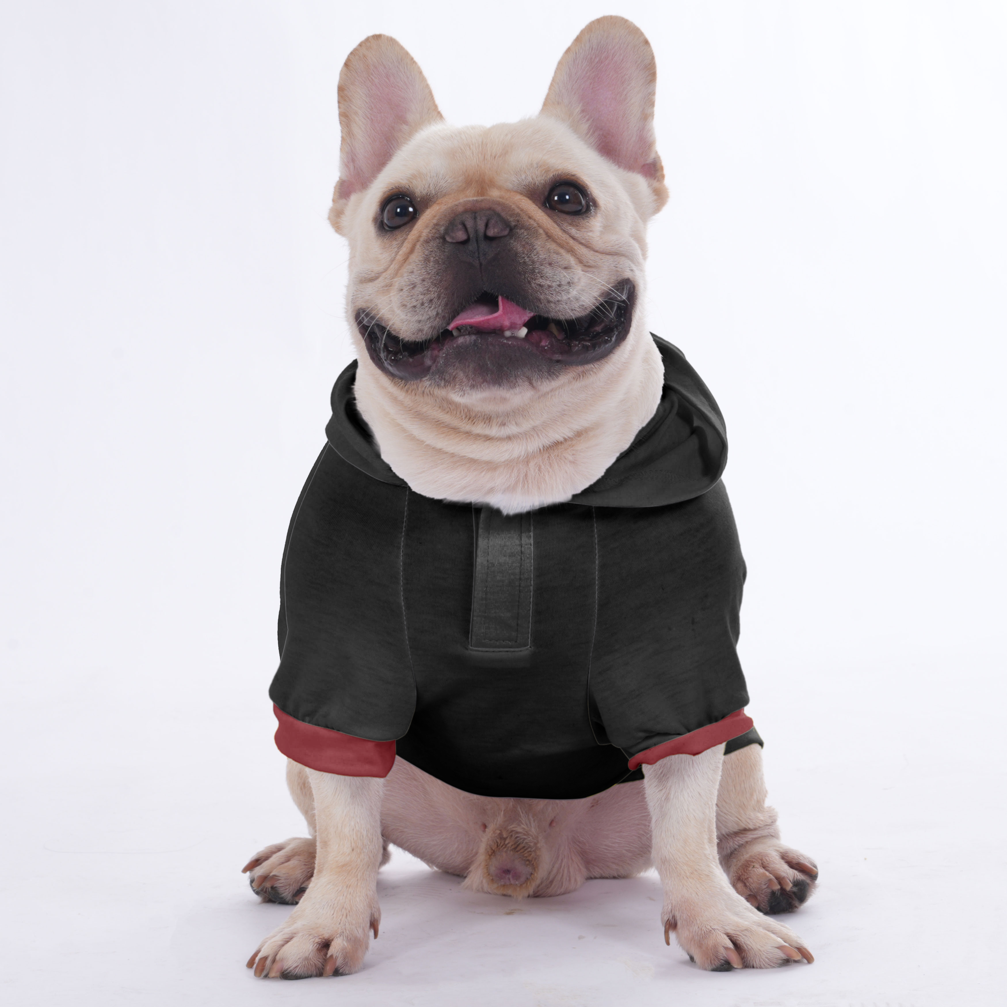 Honey - Hoodies for French Bulldog | Frenchie Shop Original