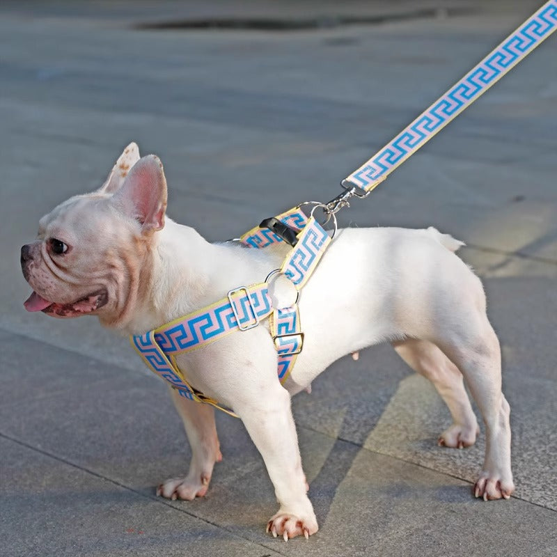 BarkTrend Frenchie Greek Key Harness and Leash – Stylish Secure Dog Walking Set