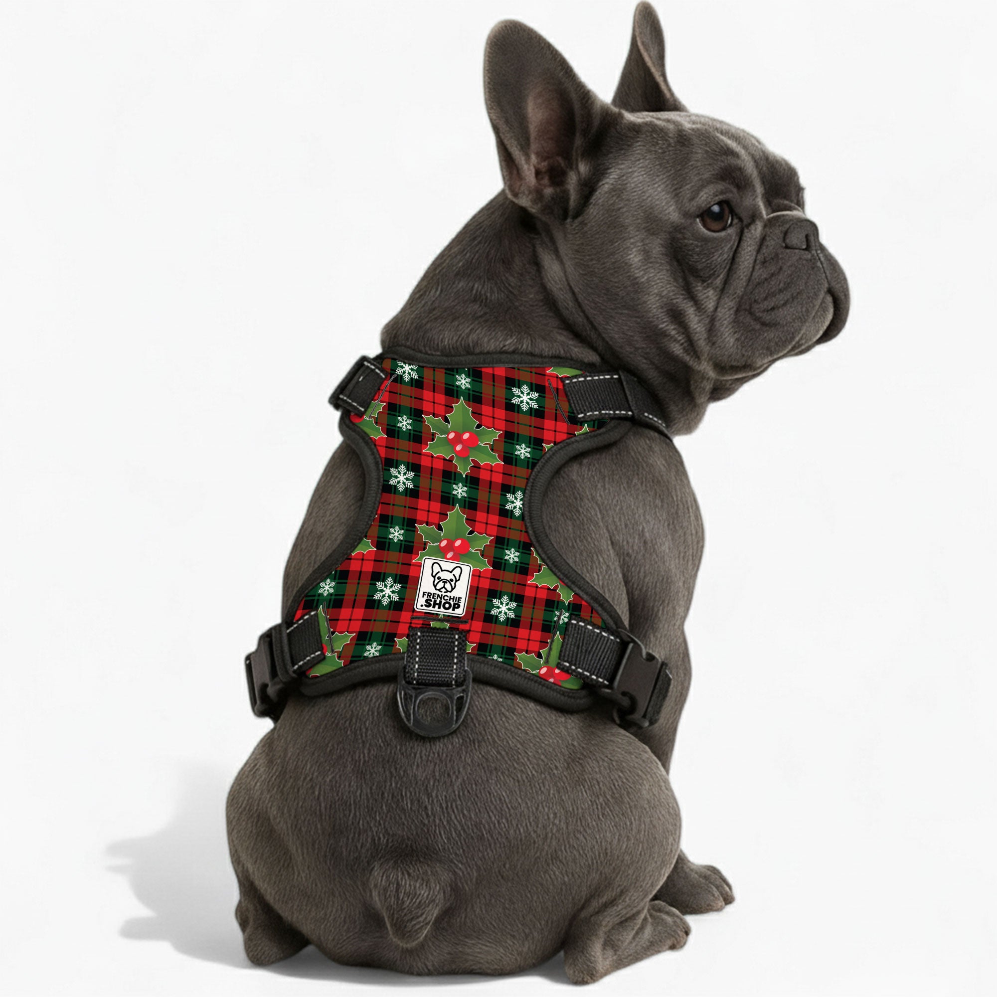 - French Bulldog No-pull French Bulldog Dog Harness For French Bulldogs