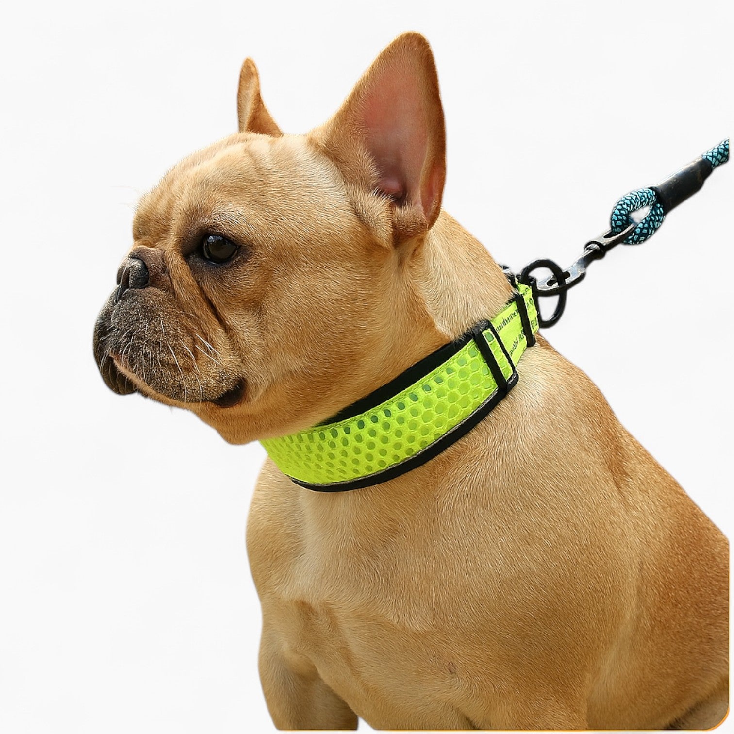 Soft Hexafur Frenchie Reflective Collar – Night Safety Adjustable Hon...