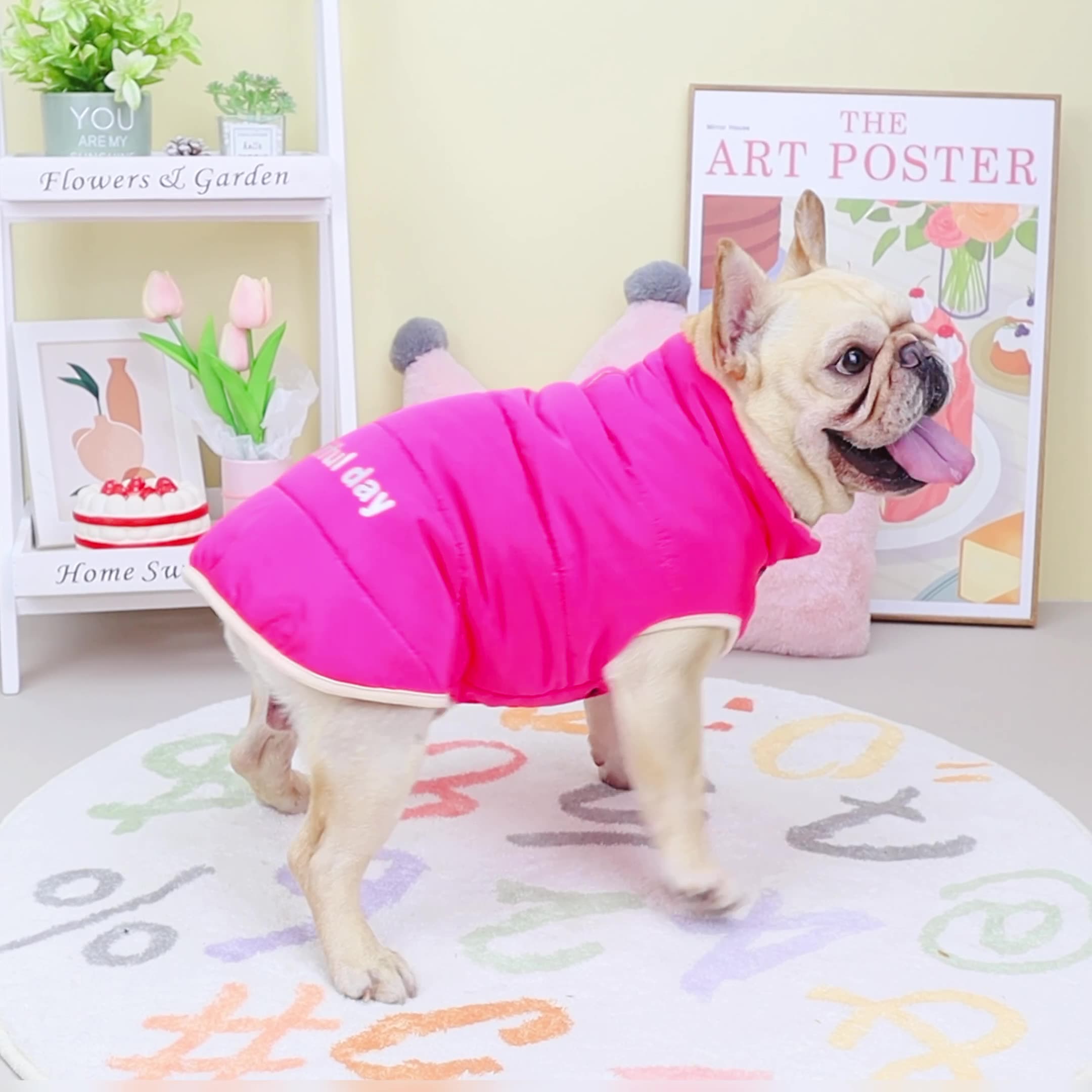 Fleece - French Bulldog Lined French Bulldog Coats Dog Supplies