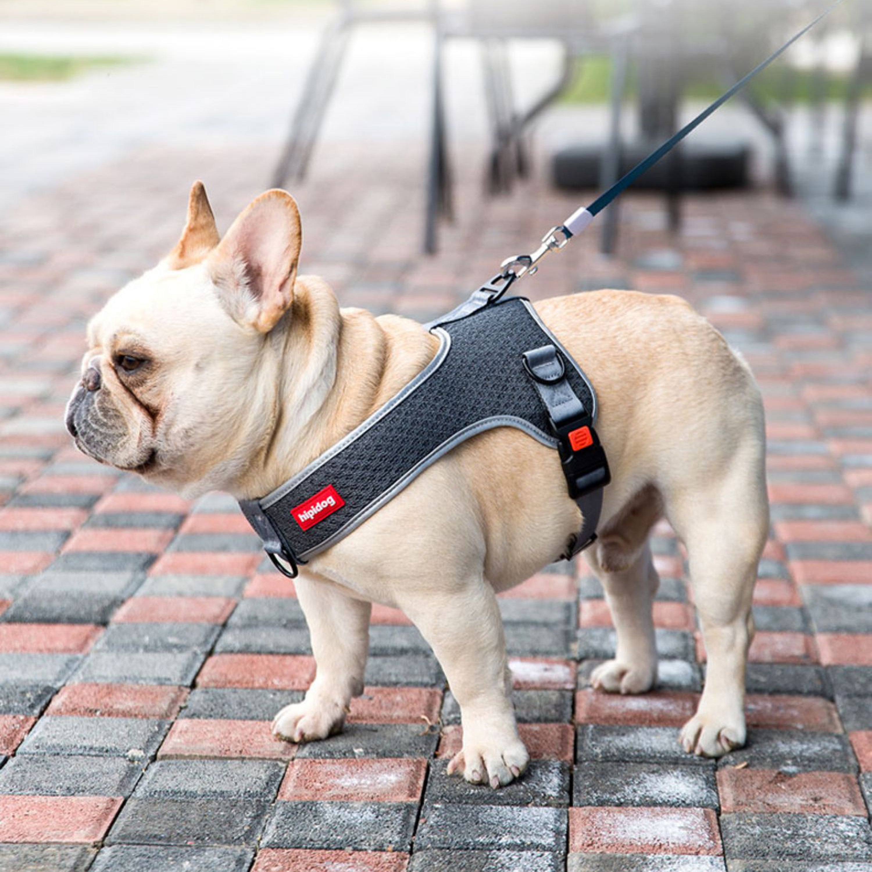Pressure-Balanced Pawsmotion Premium French Bulldog Harness Vest With...