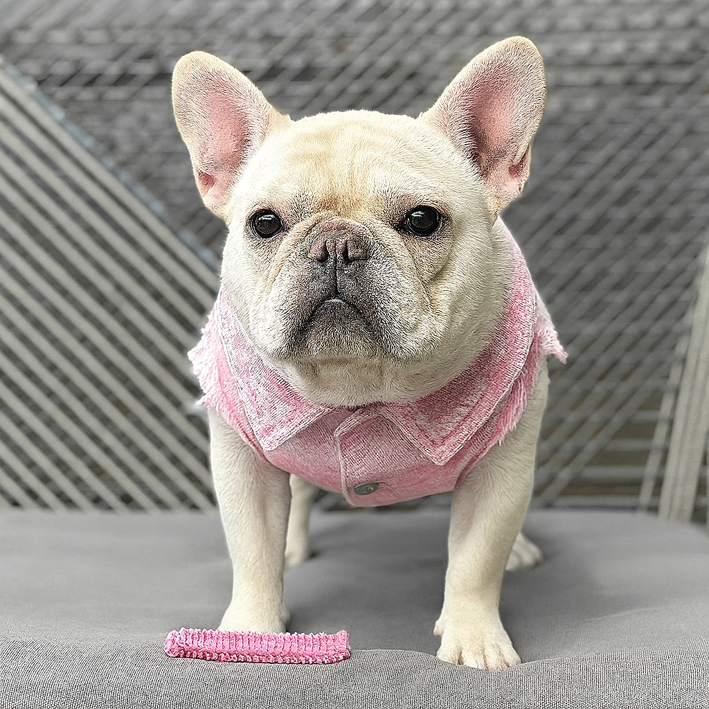 JeaniePaw French Bulldog Denim Vest – Stylish Ripped Sleeveless Jean Jacket