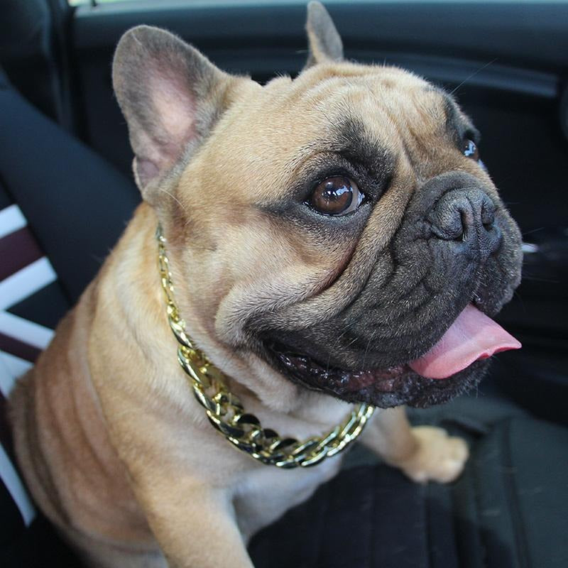 Stylish Glambull Frenchie Gold Necklace – Stylish Plastic Jewelry Cha...