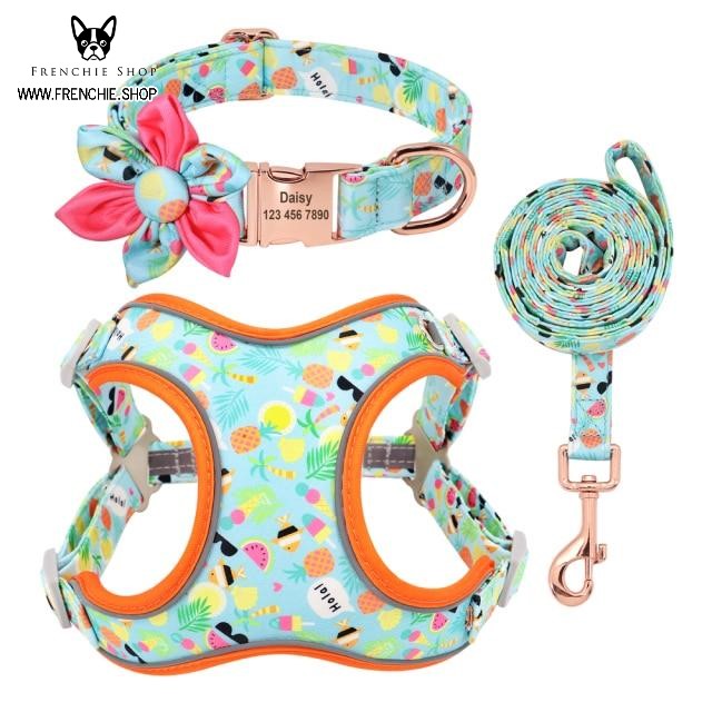Fruit - Premium Harness For French Bulldog (w321) Paw Protection