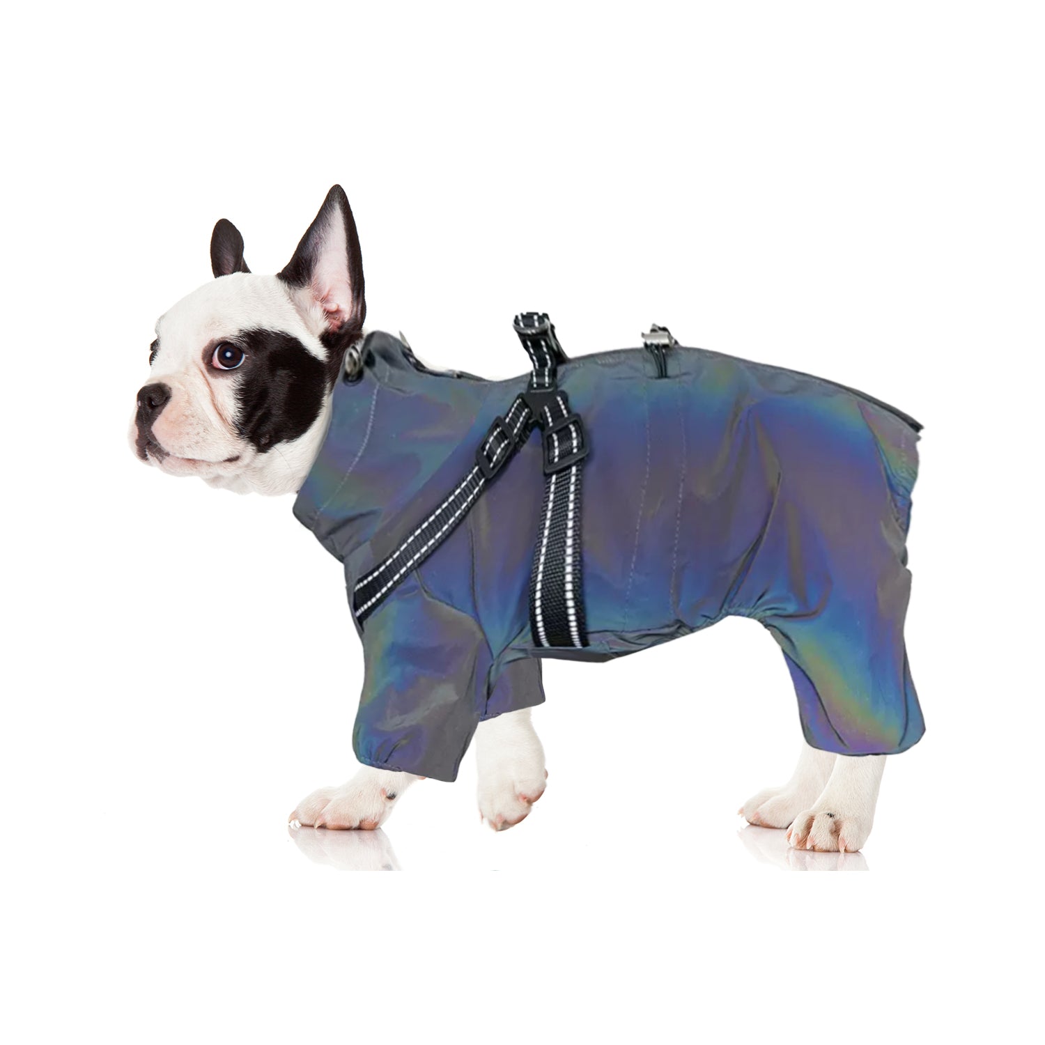 Vet-Approved Hydrohug Frenchie Raincoat With Built-in Harness Waterpr...