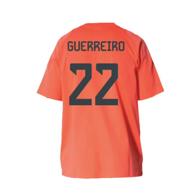 Bayern Munich 2025-2026 Training - Premium Fan Edition Edition