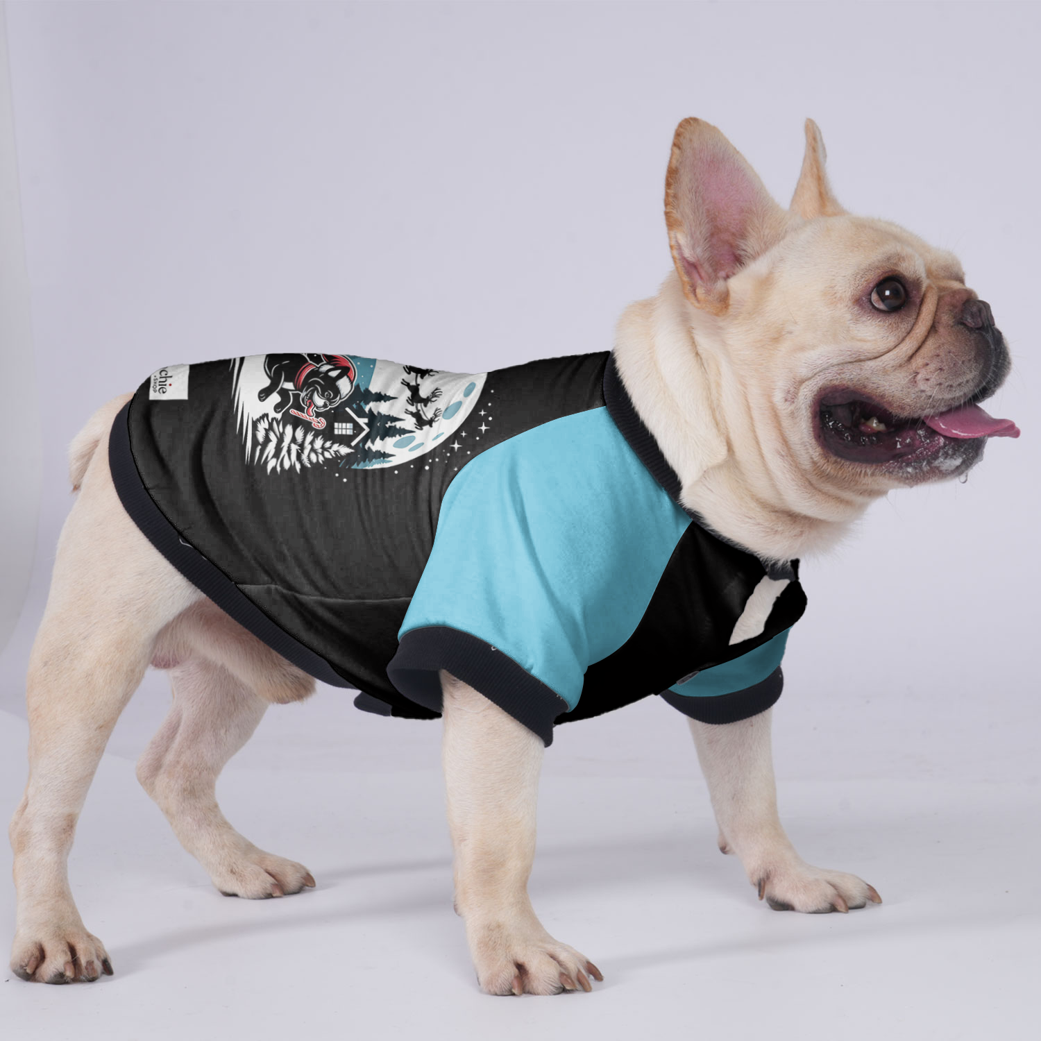 Abby - Breed-specific Jacket For French Bulldog Pet Gear