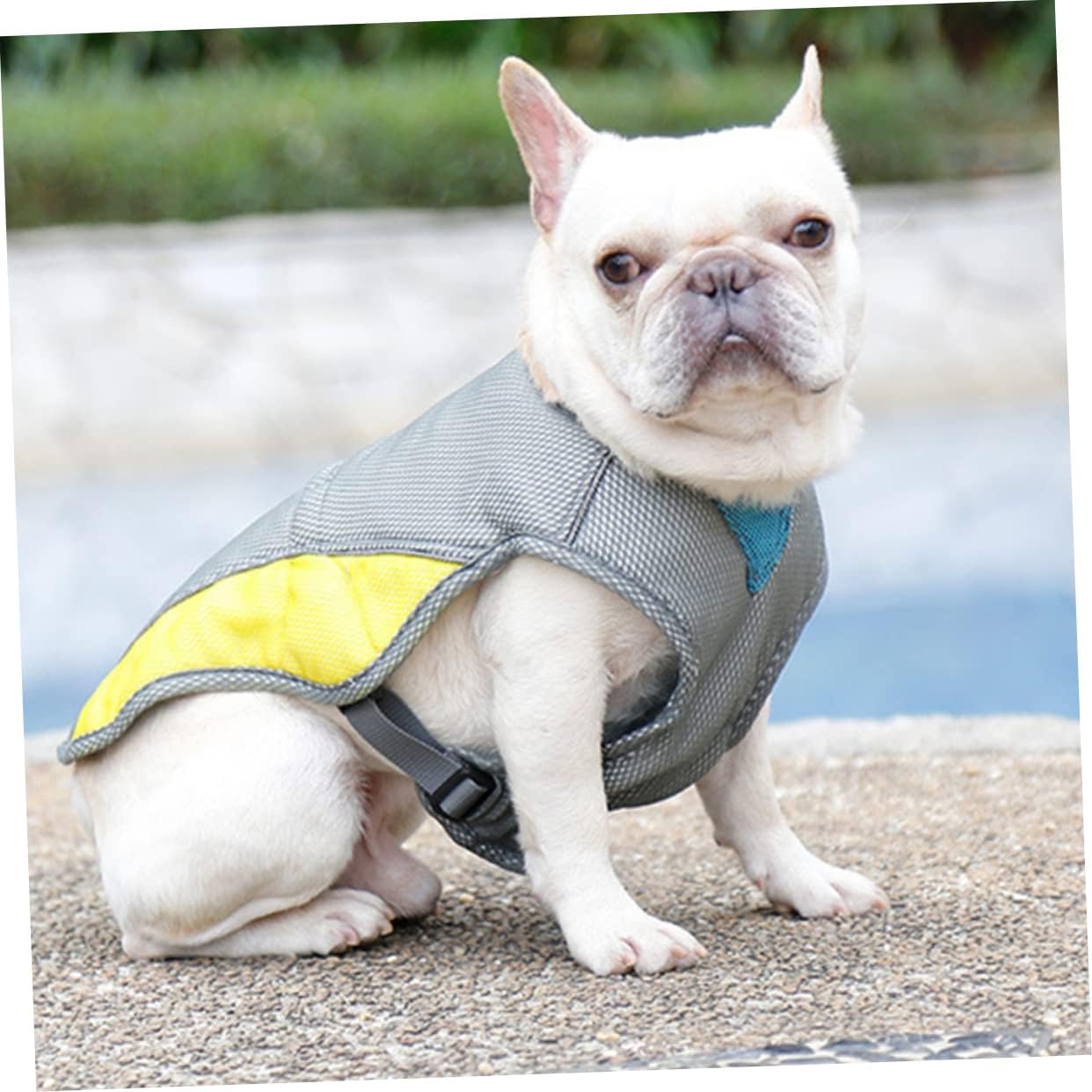 French Bulldog Coolify™ : Cooling Vest For Frenchie (cs13) Durable Dog Item