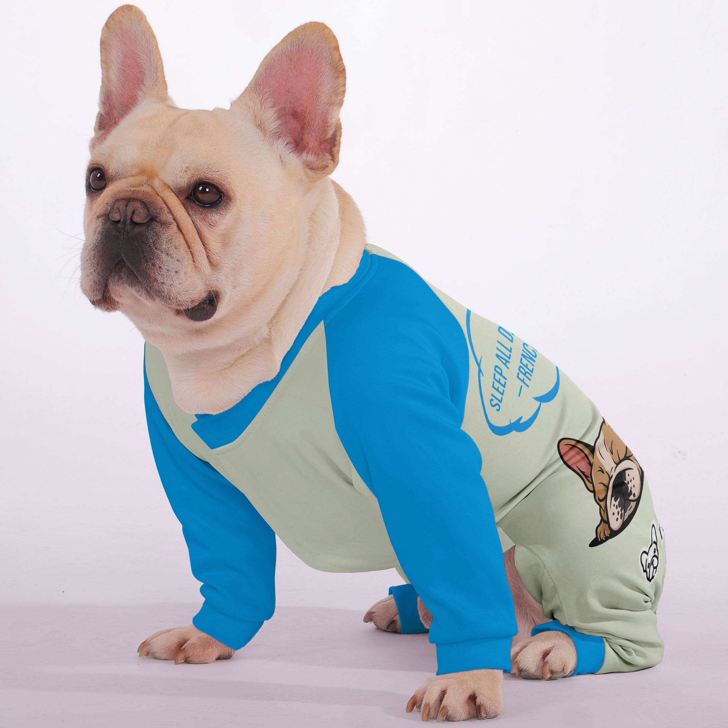 Ultra-soft, Cozy, & Adorably Stylish For Frenchie Pups | Vet-recommended