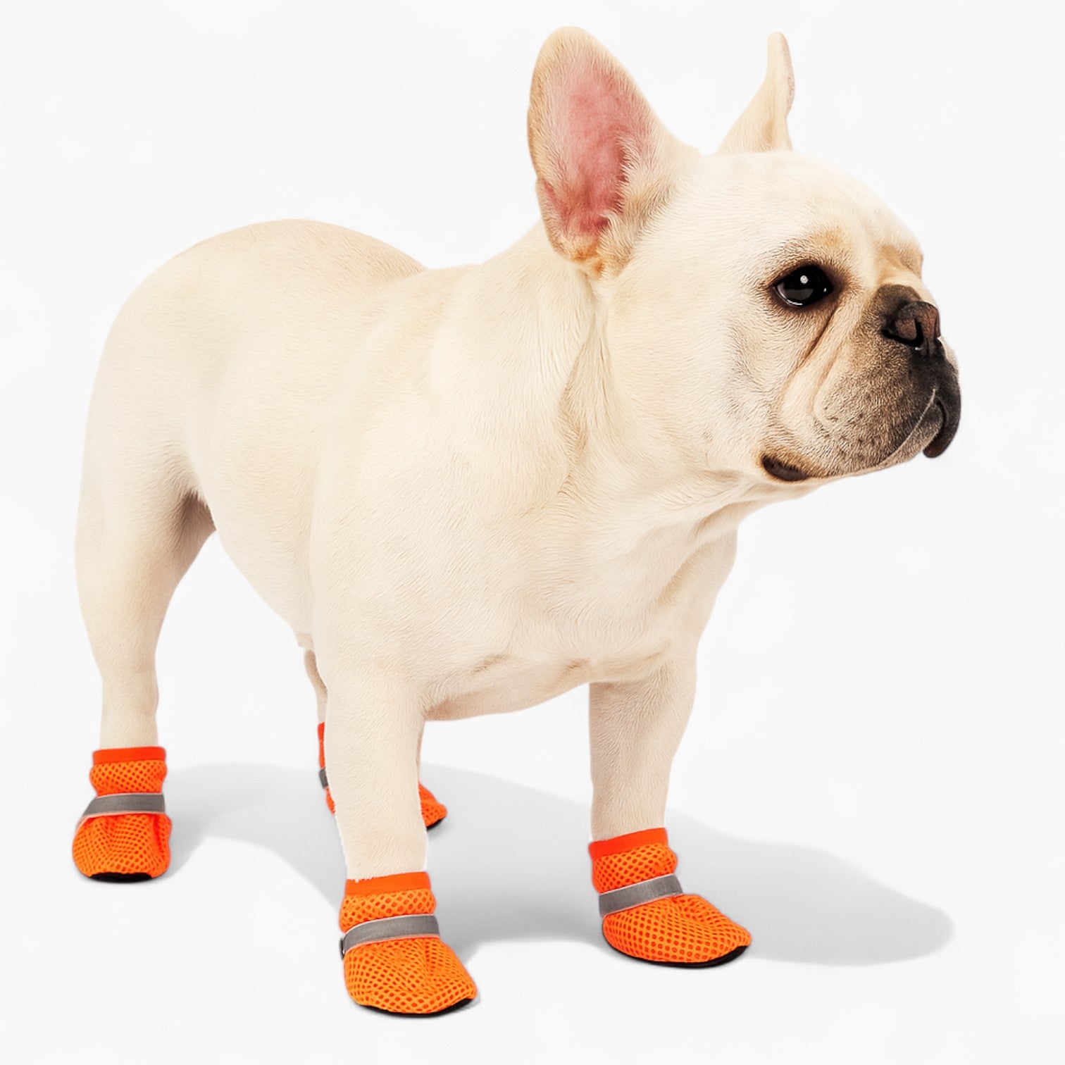 Pet-Lover Pawlite French Bulldog Shoes – Breathable Anti-slip Summer ...
