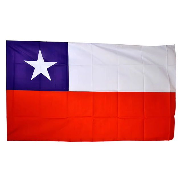 Chile World Cup Flag