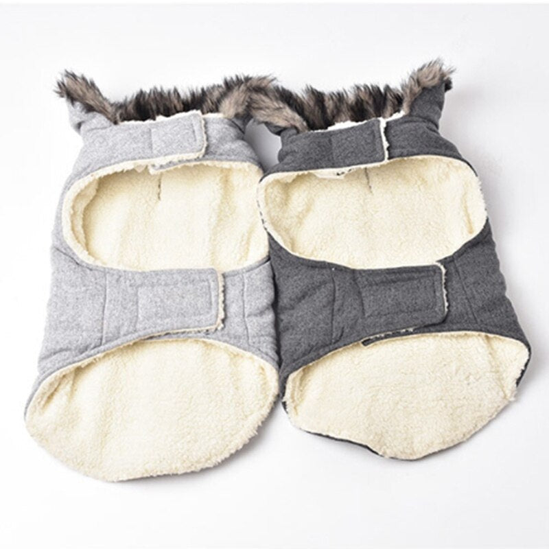 French Bulldog Cotton Coat For Frenchie (cs031) Warm Cold Weather Gear