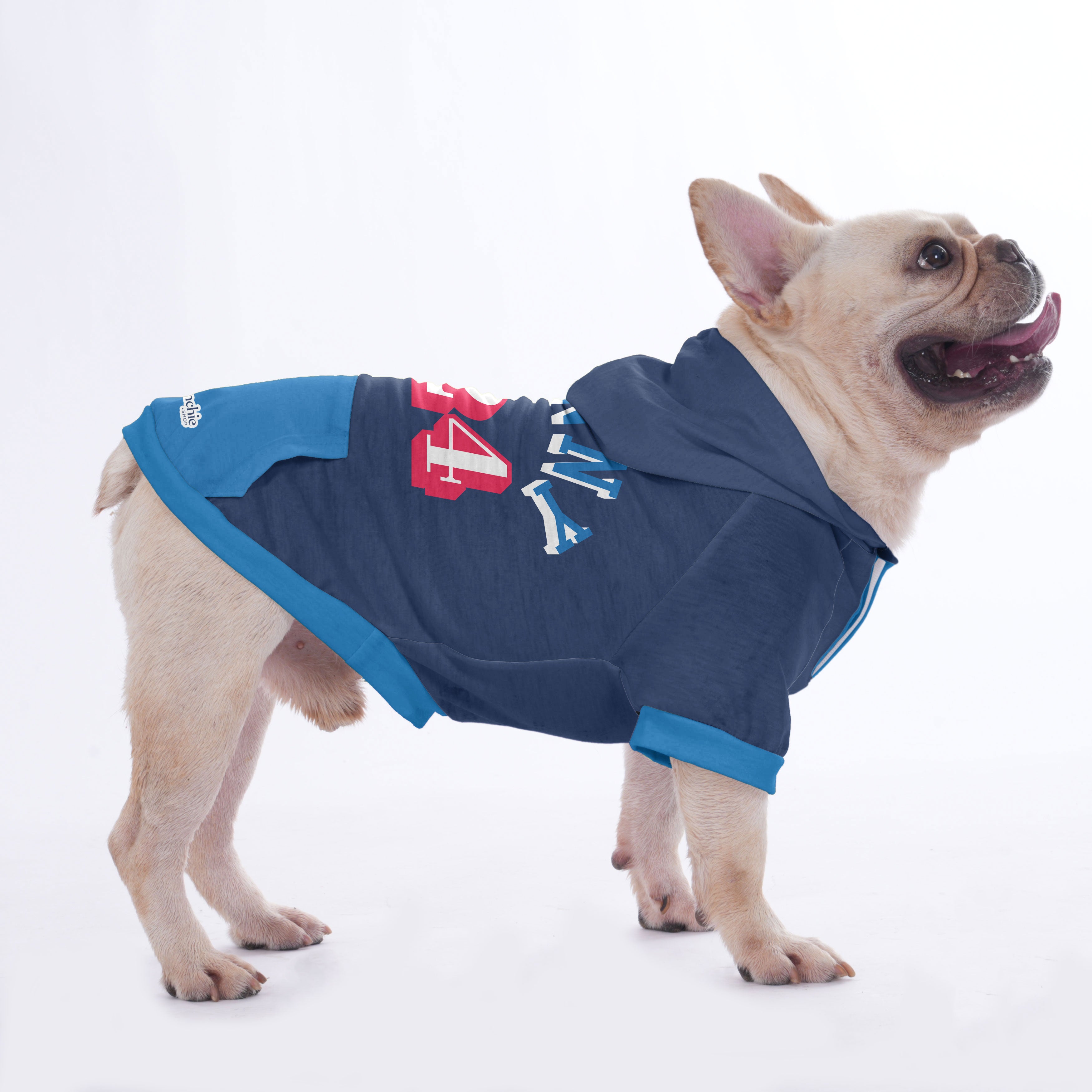 French Bulldog Customizable French Bulldog Hoodies With Your Pet’s Name