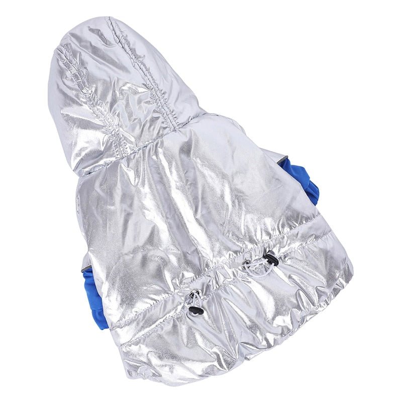 Fashion-Forward Warm Winter Coat For French Bulldog (ws305) as a Gift